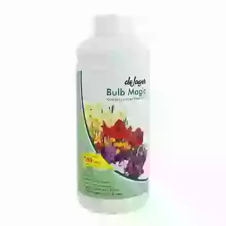 Bulb Magic